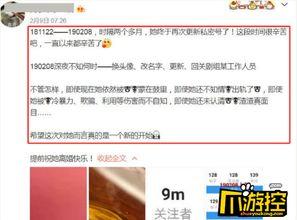 宋慧乔爆料天涯视频,天涯视频背后的惊人内幕  第1张