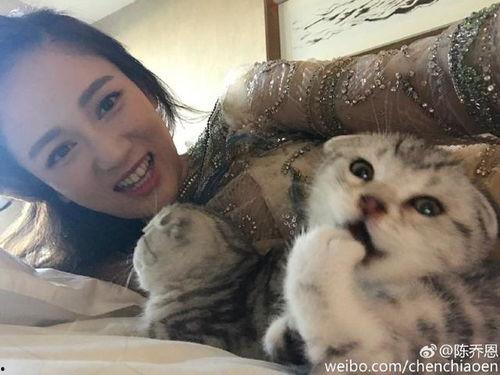娱乐圈爆料猫不理,猫不理背后的惊人真相! 第2张 娱乐圈爆料猫不理,猫不理背后的惊人真相! 第2张