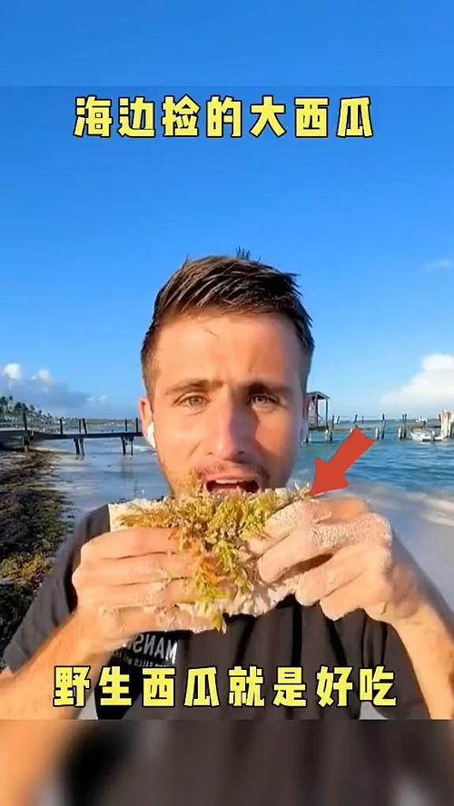 娱乐吃瓜配音视频大全最新,笑料百出,精彩纷呈! 第2张 娱乐吃瓜配音视频大全最新,笑料百出,精彩纷呈! 第2张